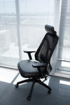 Ergo-Luxe: How Ergonomic Office Thrones Revolutionize Your Back Health