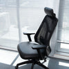 Ergo-Luxe: How Ergonomic Office Thrones Revolutionize Your Back Health
